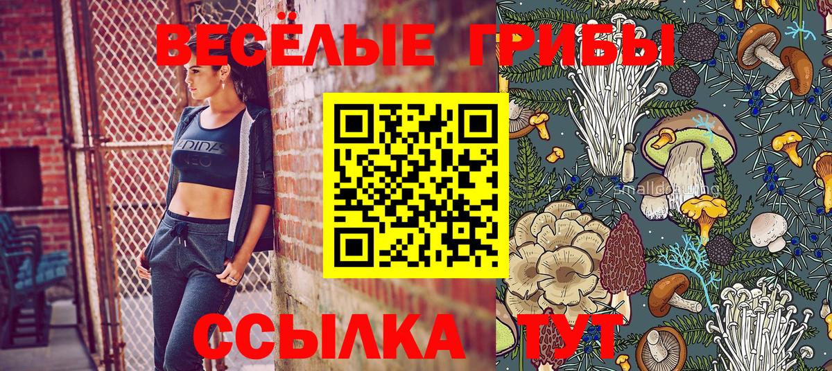 Галлюциногенные грибы Psilocybe  Вход с VPN  Рассказово 