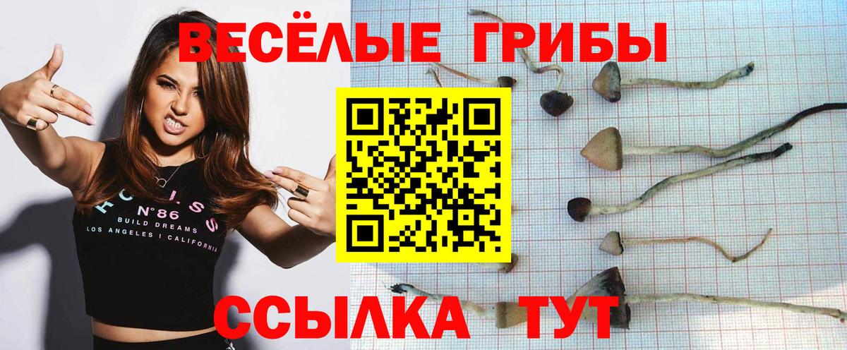 Галлюциногенные грибы MAGIC MUSHROOMS Рассказово